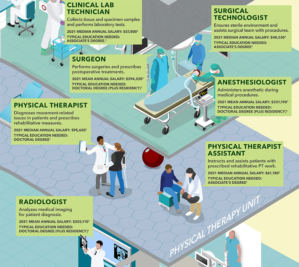 Who's Who In A Hospital? Your Visual Guide To Medical Jobs | Rasmussen ...