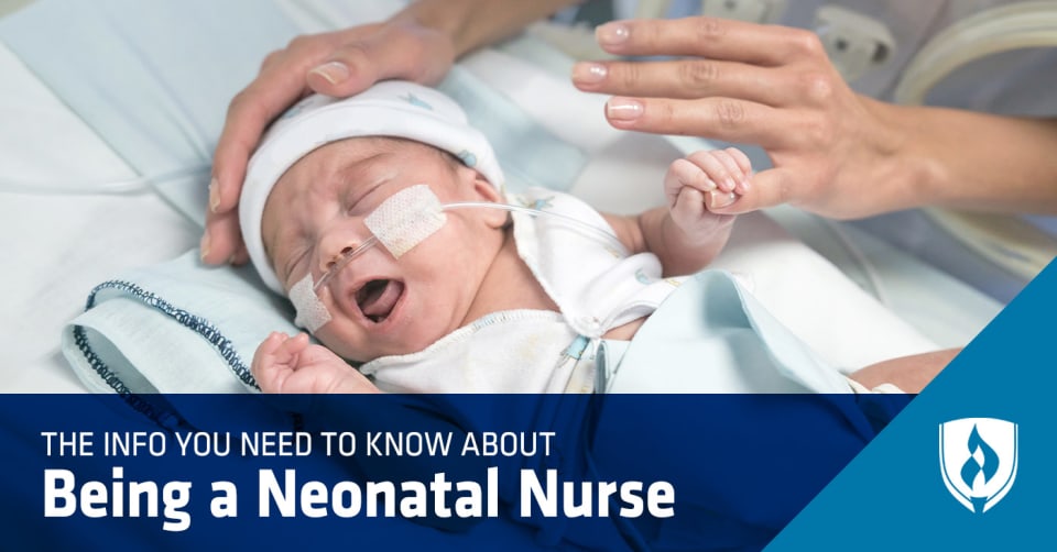 The Info You Need to Know About Being a Neonatal Nurse | Rasmussen