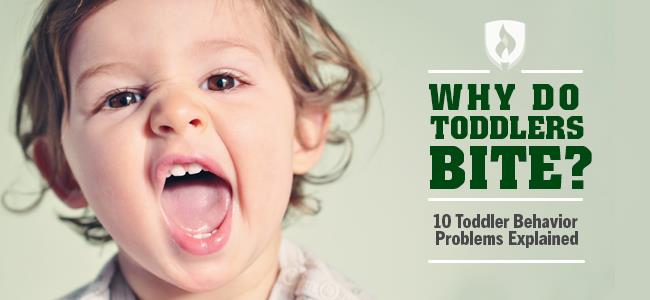 Why Do Toddlers Bite 10 Toddler Behavior Problems Explained