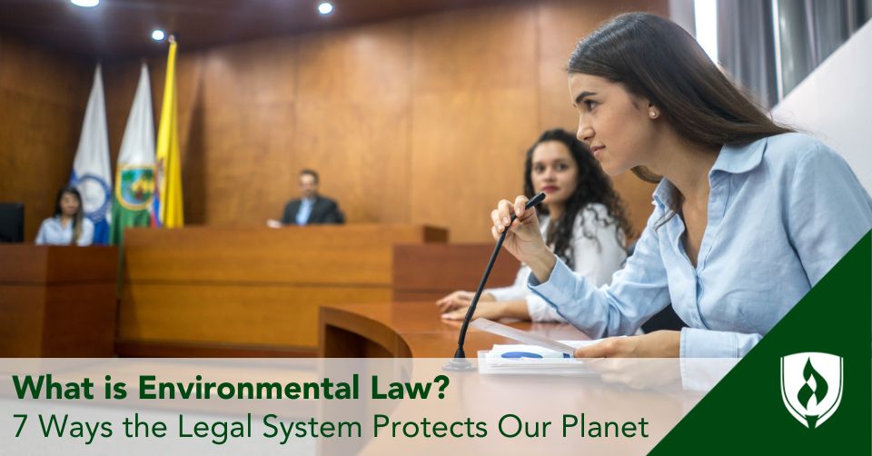 What is Environmental Law? 7 Ways the Legal System Protects Our Planet ...