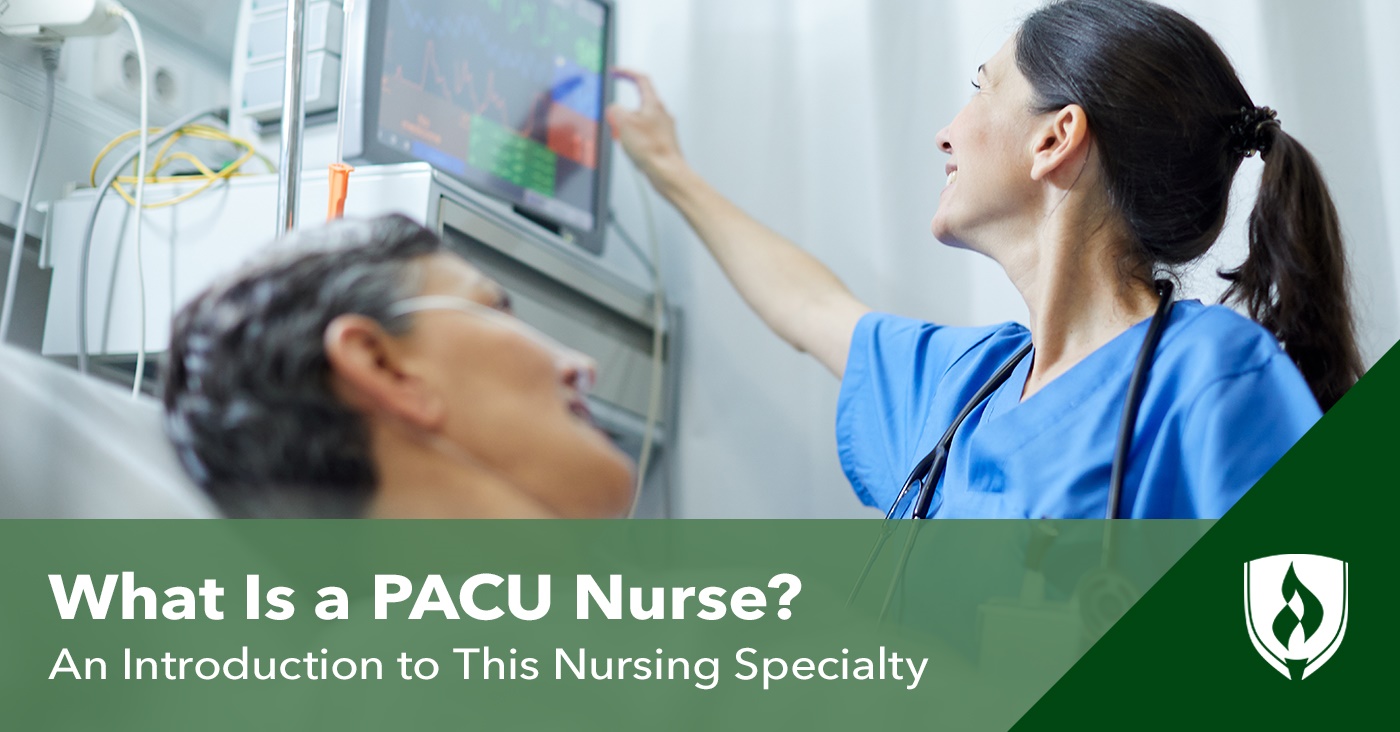 What Is A PACU Nurse? An Introduction To This Nursing Specialty ...