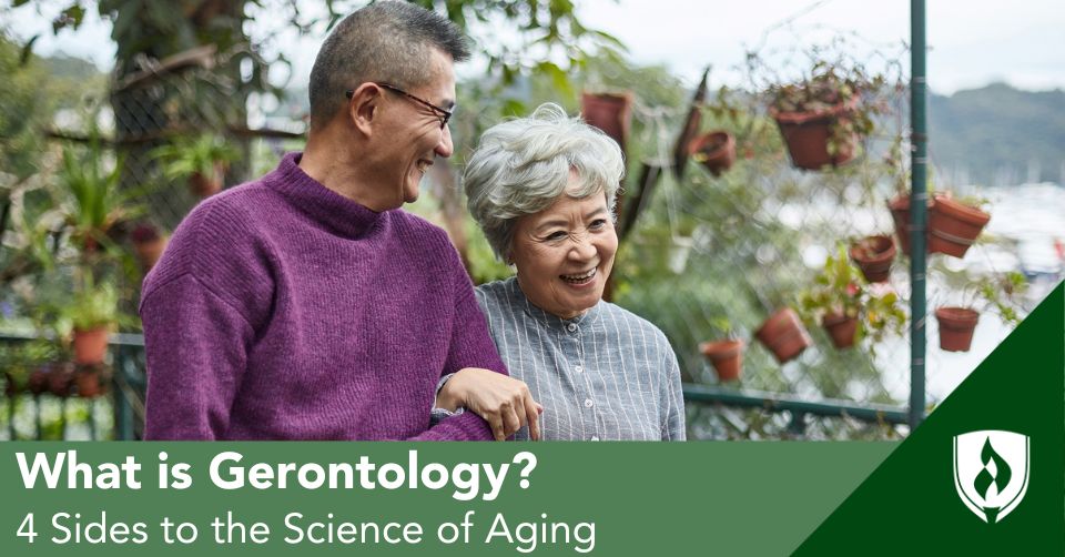 Gerontology header An elderly couple walk arm in arm through a garden